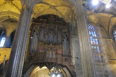 Organ