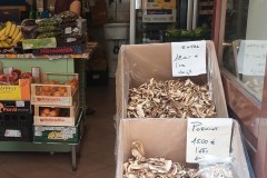 Citta_Alta_mushrooms