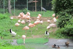 IMG_3236