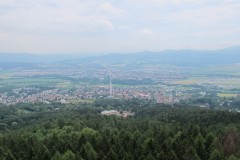 IMG_3299