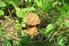 IMG_3278