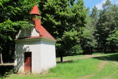IMG_3281
