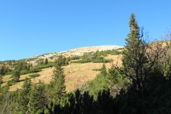 IMG_4629