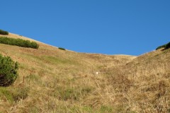 IMG_4634
