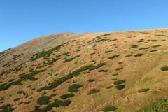 IMG_4635