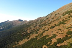 IMG_4636