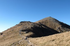 IMG_4789