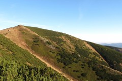 IMG_4642