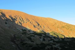 IMG_4654