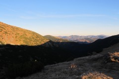 IMG_4655