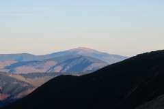 IMG_4664