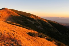 IMG_4686