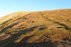 IMG_4727