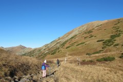 IMG_4737