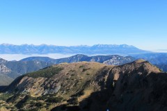 IMG_4747