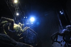Pavúky v Zakázanom lese