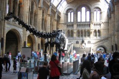 National Natural Museum