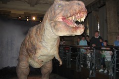 T-rex v prírodovednom