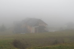 IMG_4832