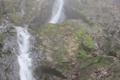 IMG_4853