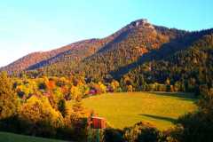 IMG-20211006-WA0001