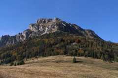 IMG-20211006-WA0006