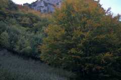 IMG-20211006-WA0007