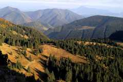 IMG-20211006-WA0009