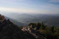 IMG-20211006-WA0010