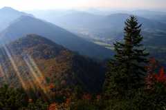 IMG-20211006-WA0011