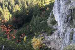 IMG-20211006-WA0015