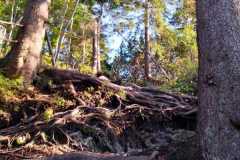 IMG-20211006-WA0017