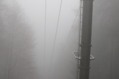 IMG_4875