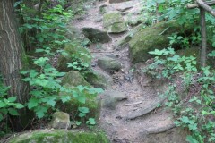 IMG_3357