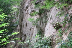 IMG_3359