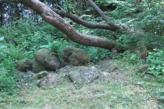 IMG_3372