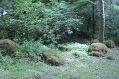 IMG_3373