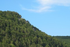 IMG_3425