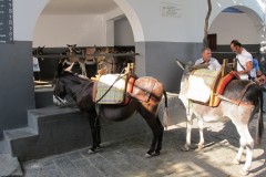 IMG_4084