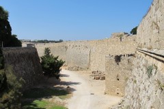 IMG_4390