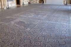 IMG_4272_B
