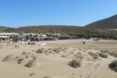IMG_4422