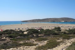 IMG_4489