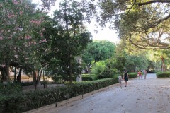 Park