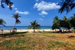 Phuket_Karon_beach_trees