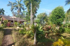 Phuket_Golden_Sand_Inn_garden