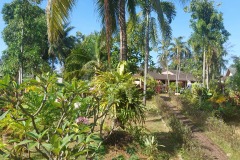 Phuket_Golden_Sand_Inn_tropical_garden