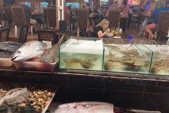 Thajsko_Phuket_Karon_fish_market