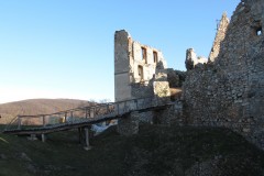 IMG_5122