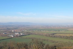IMG_5132
